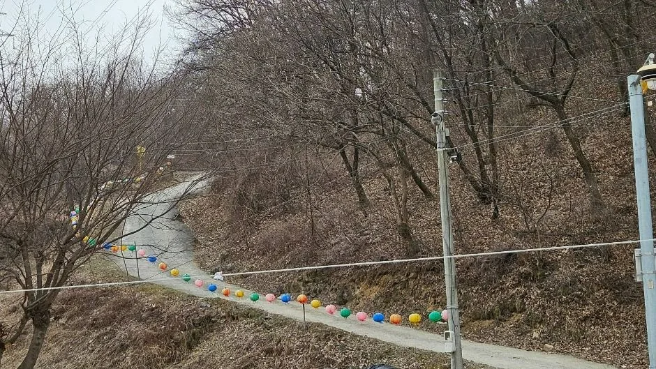 불광사 (10)