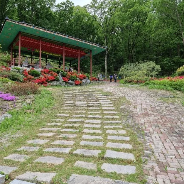 불광사 (2)