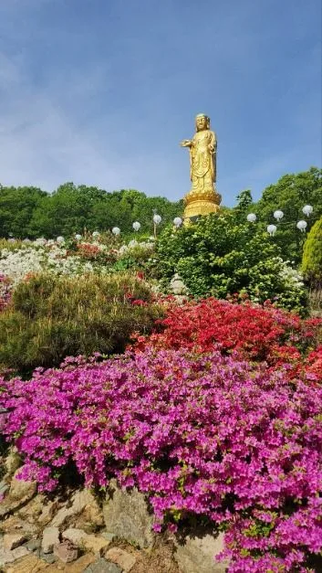 불광사 (5)