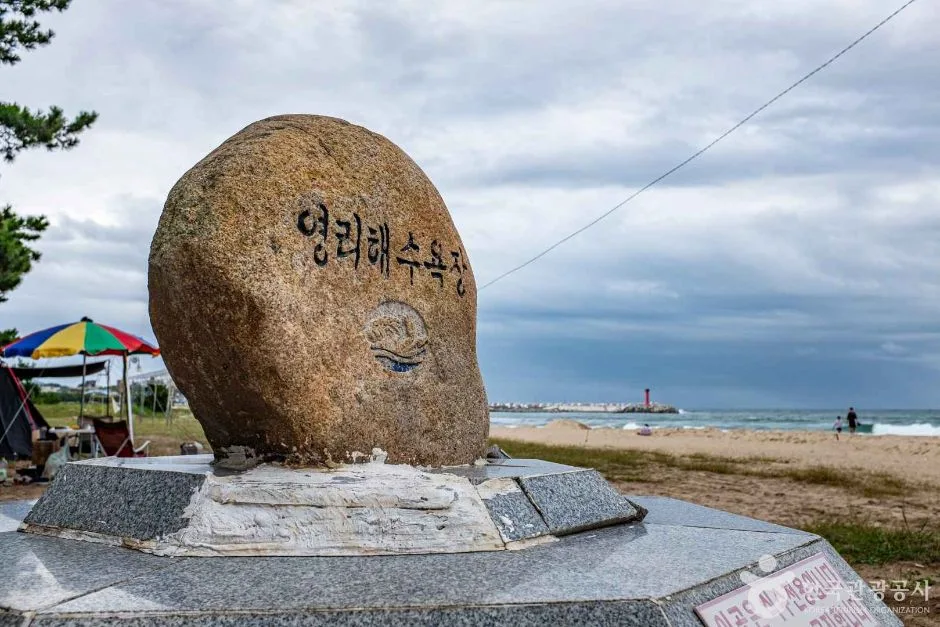 영덕_영리해수욕장 (1)
