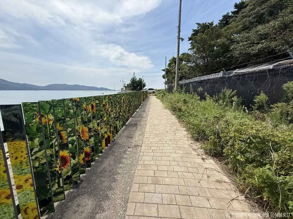 교동도