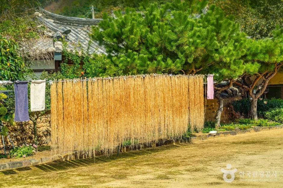 안동_안동포마을 (6)