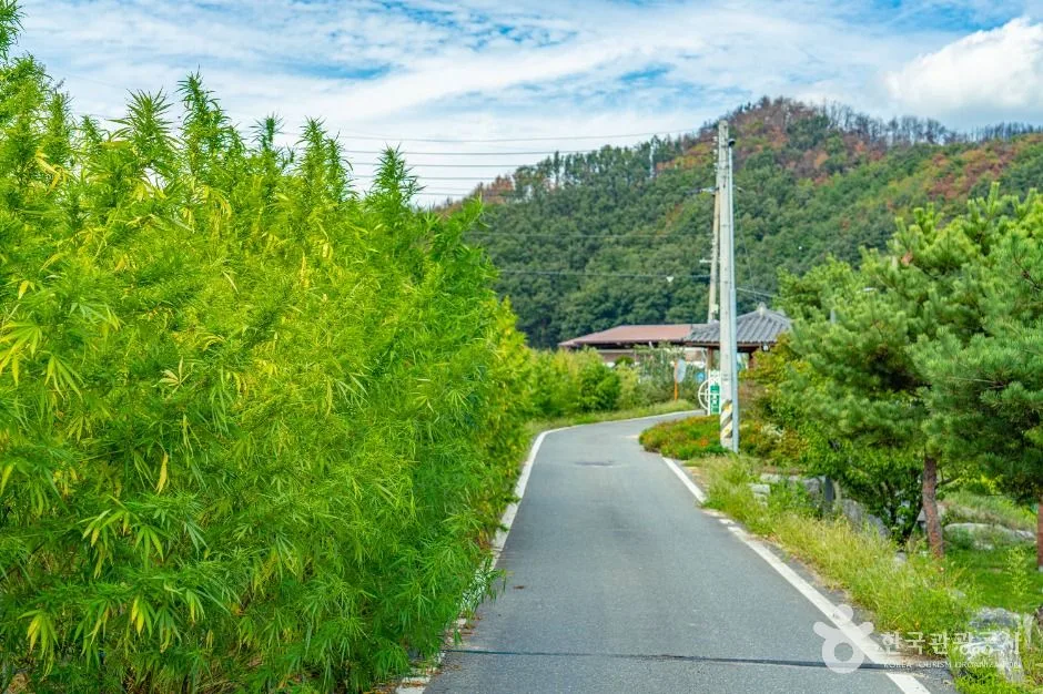 안동_안동포마을 (10)