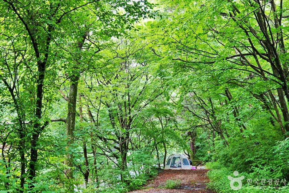 덕동계곡 (7)