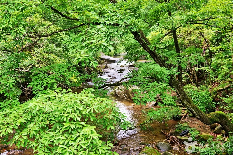 덕동계곡 (6)