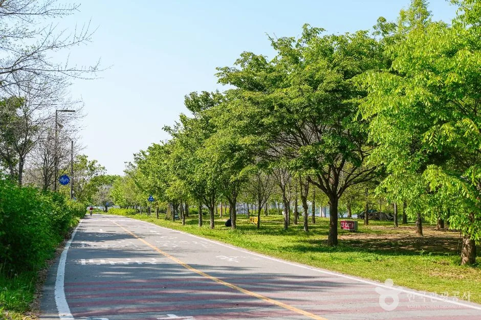 서울_여의도한강공원 (2)