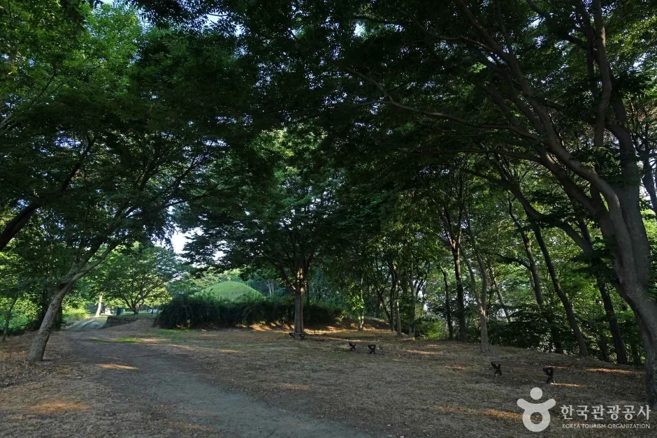 전 견훤묘(견훤왕릉) (6)