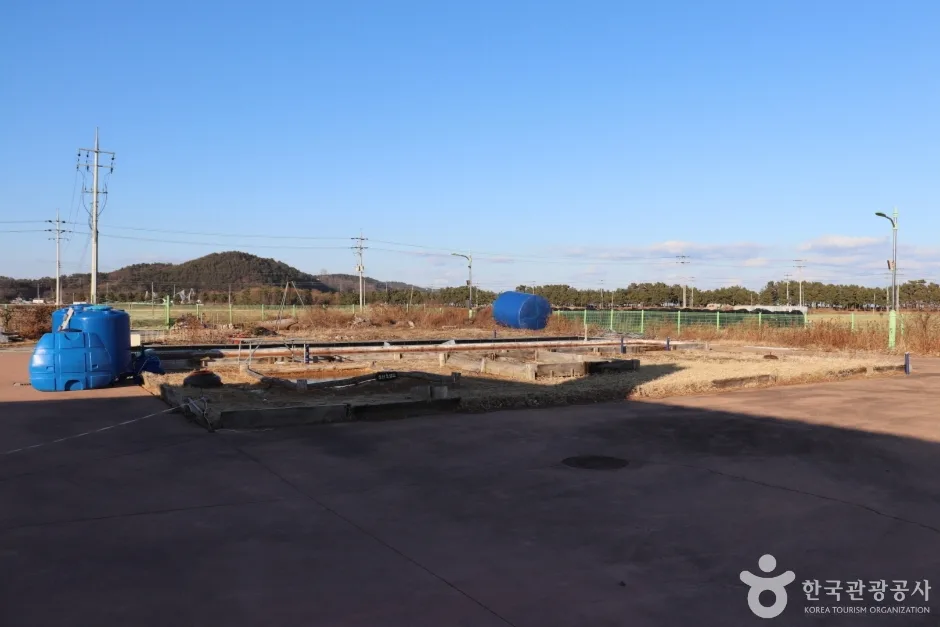 울진토염 (7)