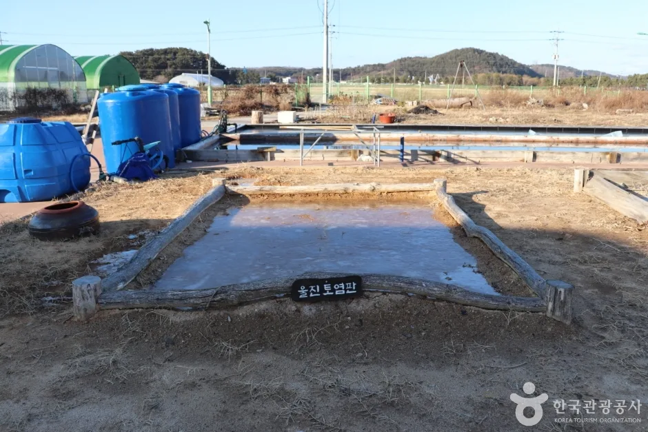 울진토염 (8)