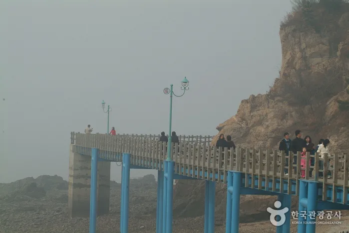 제부도 바닷길을 가르고 모세처럼 걷기