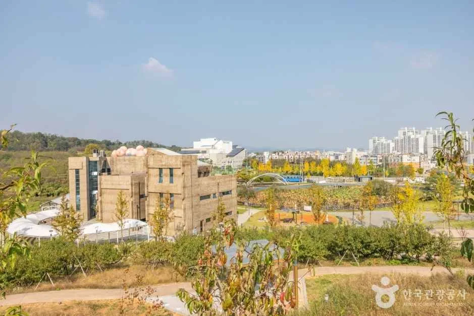 세종_농촌테마공원 도도리파크_7
