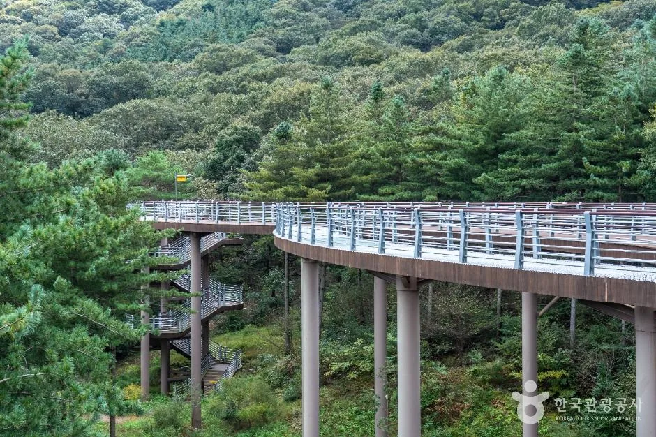 충남_보령_무궁화수목원_외부_4.jpg