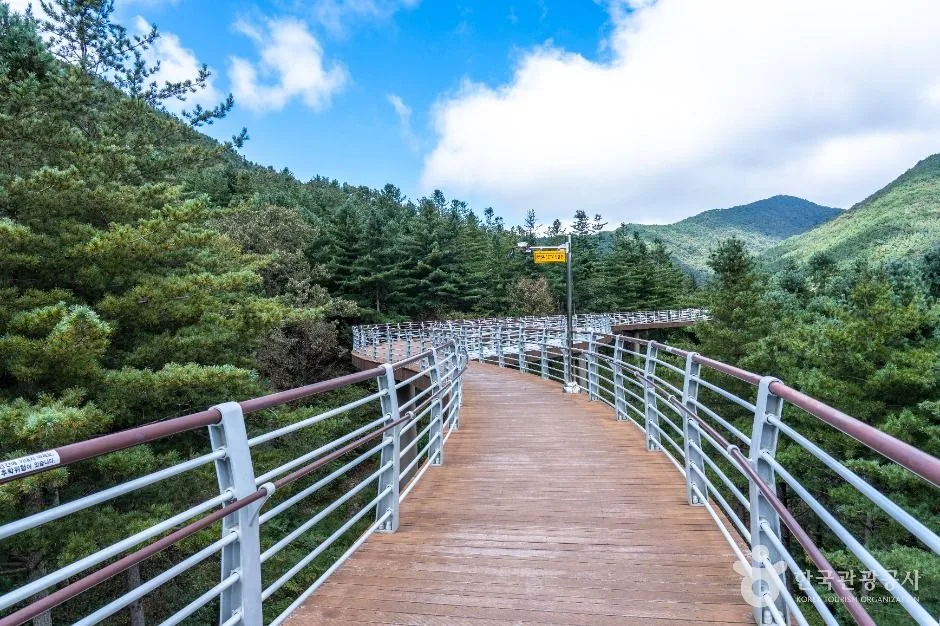 충남_보령_무궁화수목원_외부_3.jpg