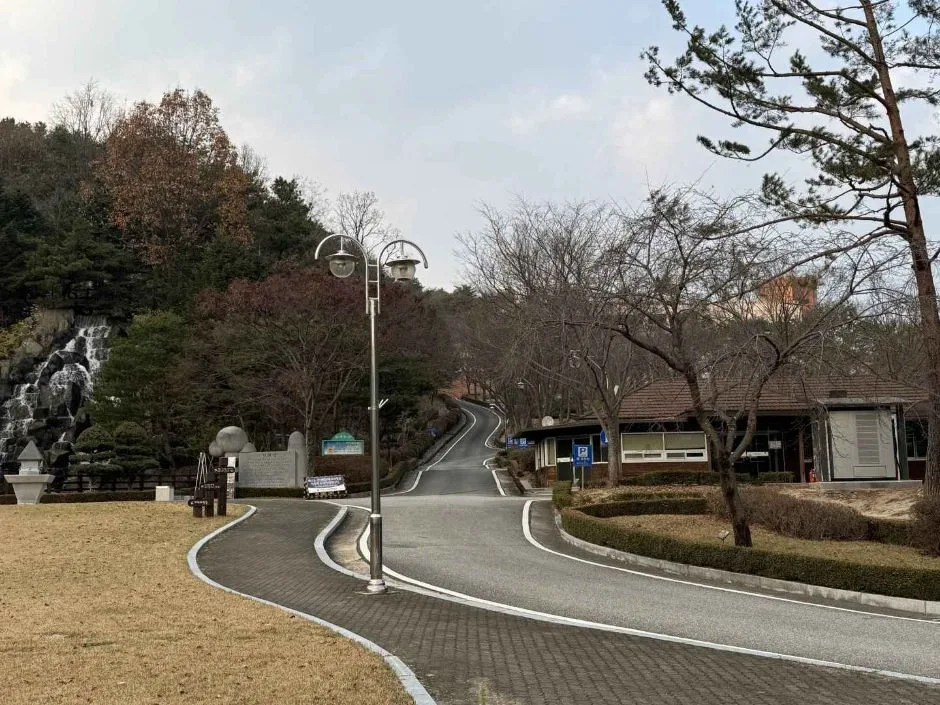안동_경상북도 산림과학박물관 (18)