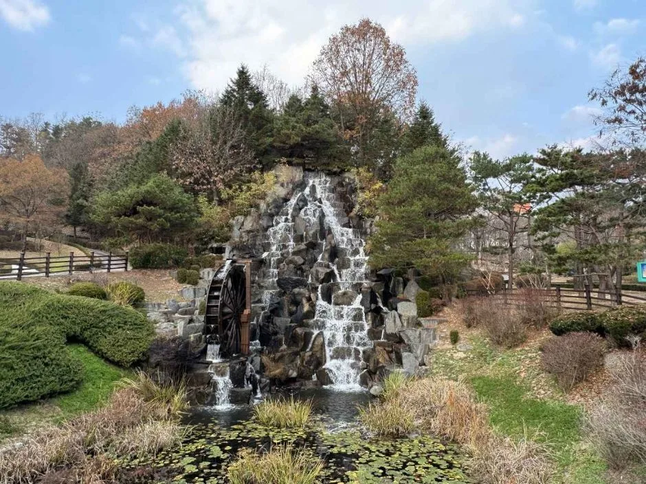 안동_경상북도 산림과학박물관 (10)