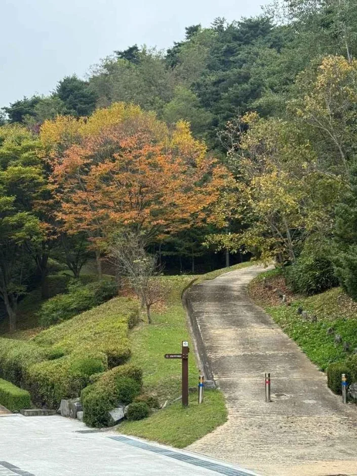 안동_경상북도 산림과학박물관 (14)