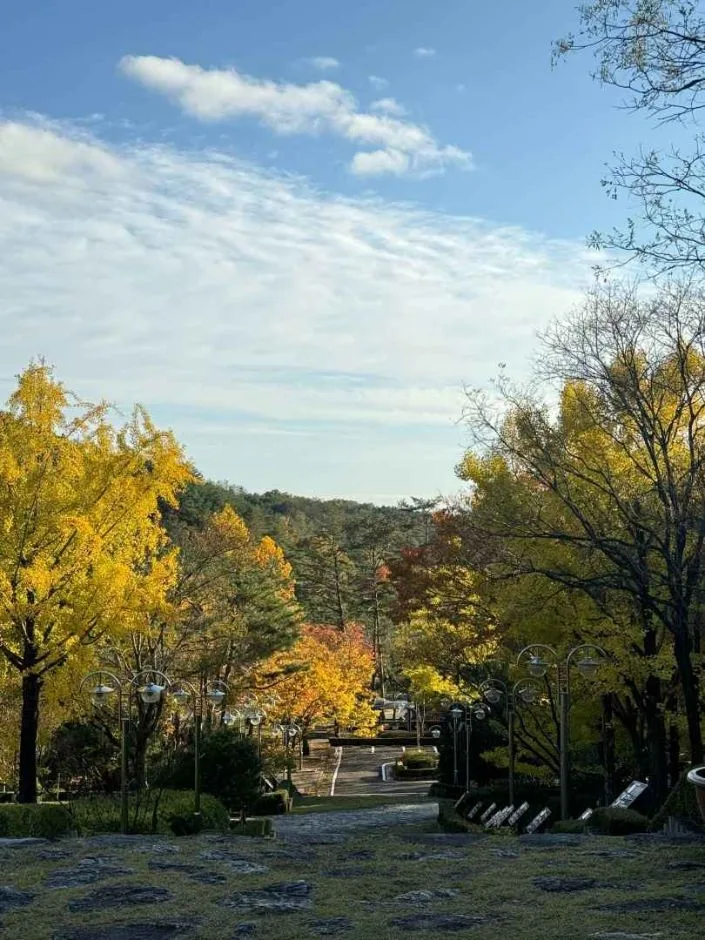 안동_경상북도 산림과학박물관 (16)