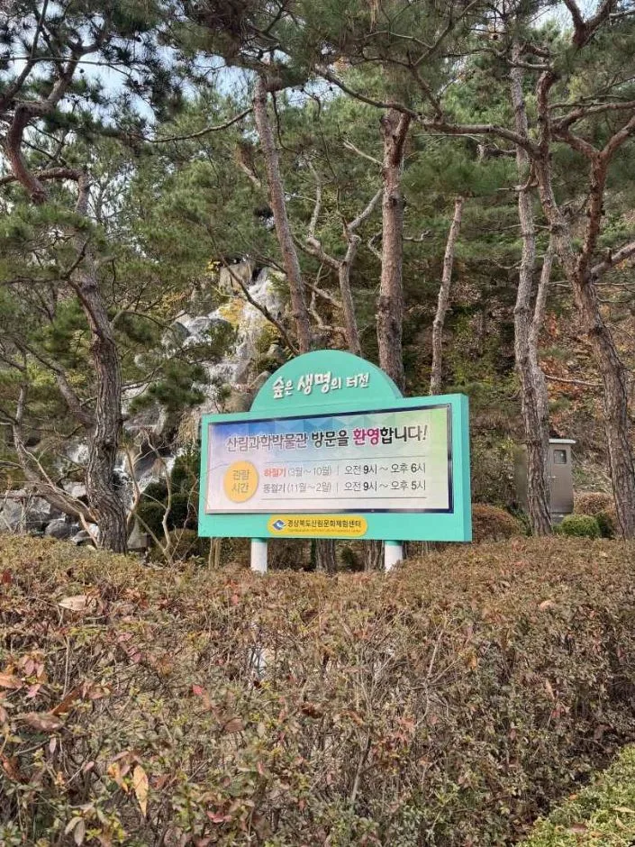 안동_경상북도 산림과학박물관 (5)