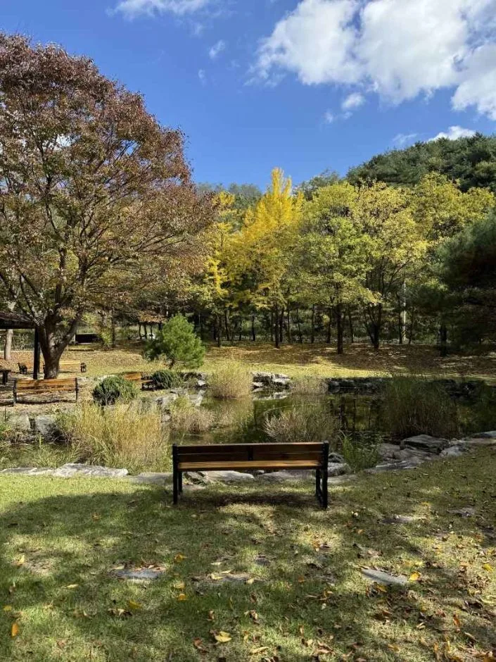 안동_경상북도 산림과학박물관 (2)