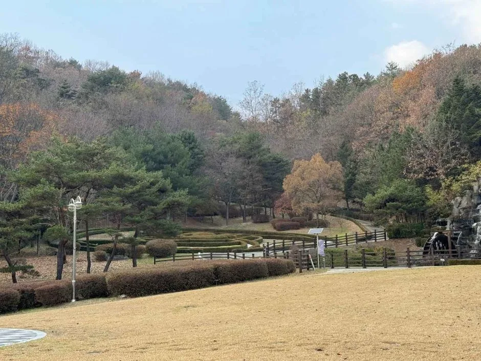 안동_경상북도 산림과학박물관 (19)