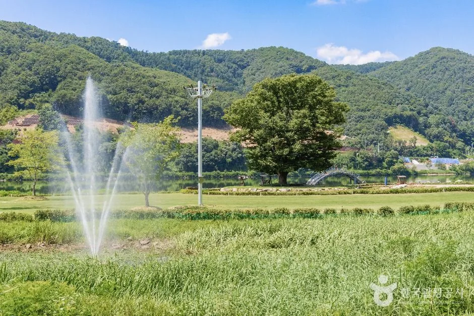 화천_거례리사랑나무 (2)