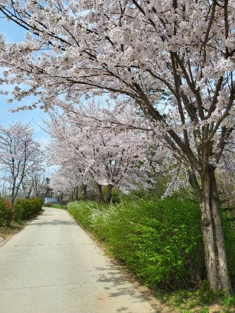 안산_바다향기수목원 (12)