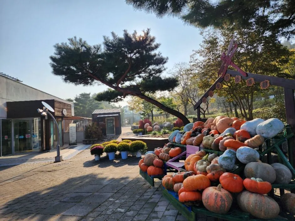 안산_바다향기수목원 (6)
