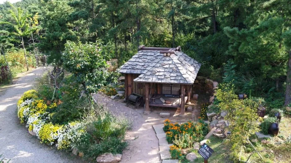 안산_바다향기수목원 (9)