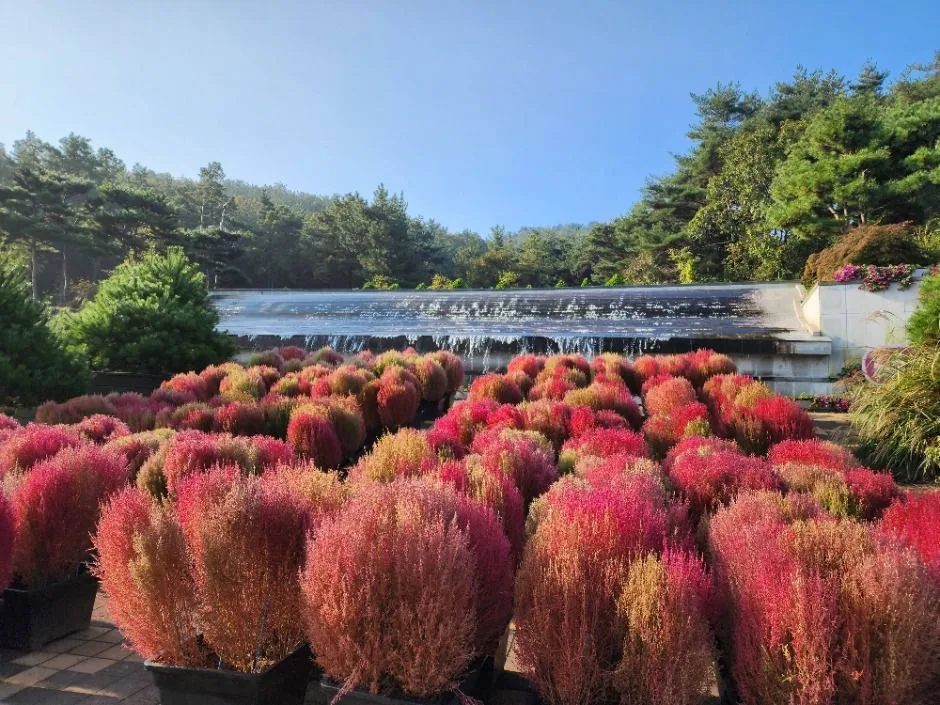 안산_바다향기수목원 (2)
