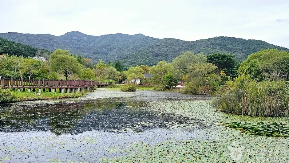 선운산생태숲_4