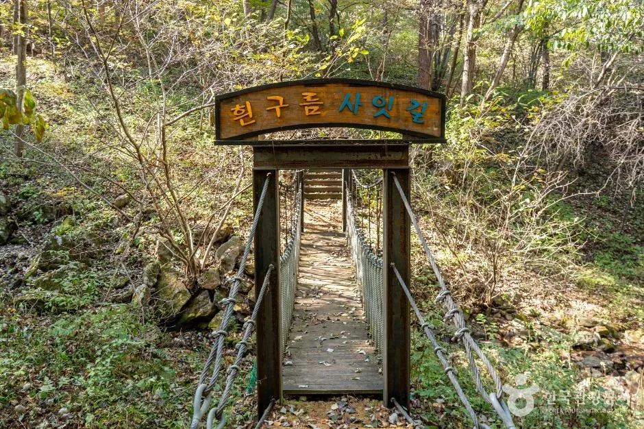 제천_덕동생태숲 (4)