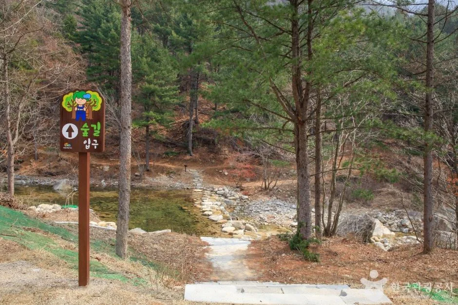 춘천_국립춘천숲체원 (2)