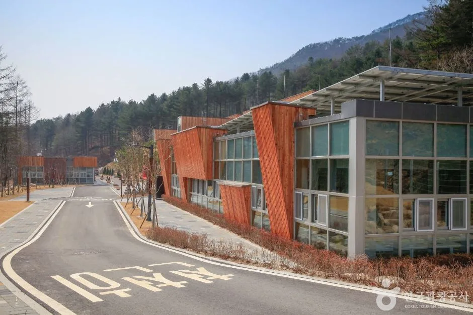 춘천_국립춘천숲체원 (10)