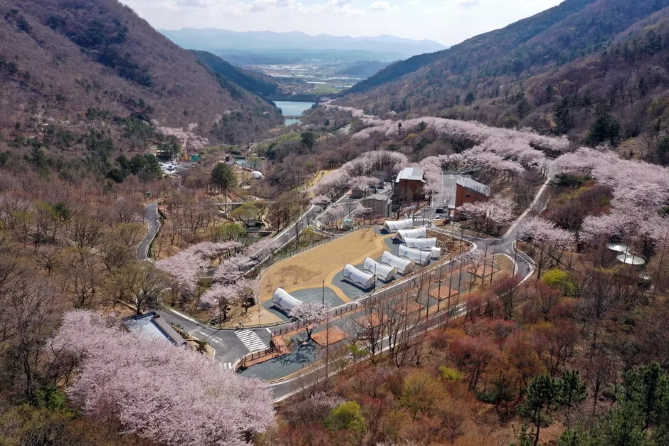월아산 숲속의 진주 (2)