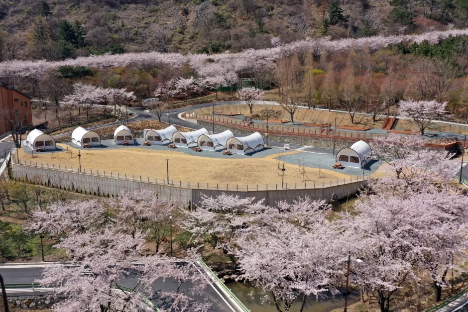 월아산 숲속의 진주 (2)
