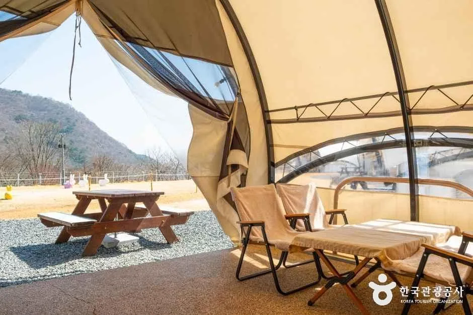 월아산 숲속의 진주 (6)