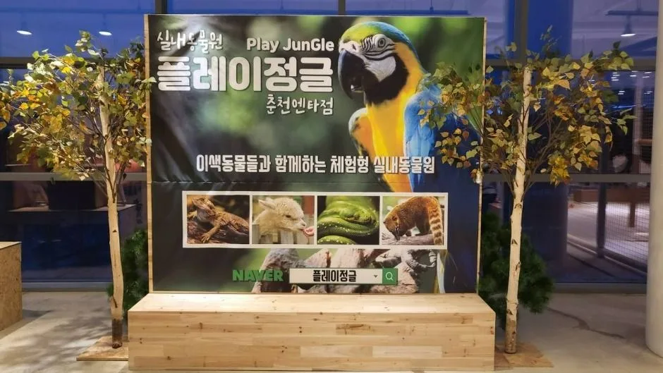춘천_플레이정글 춘천엔타점 (1)