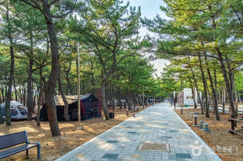 영덕_덕천해수욕장 (9)