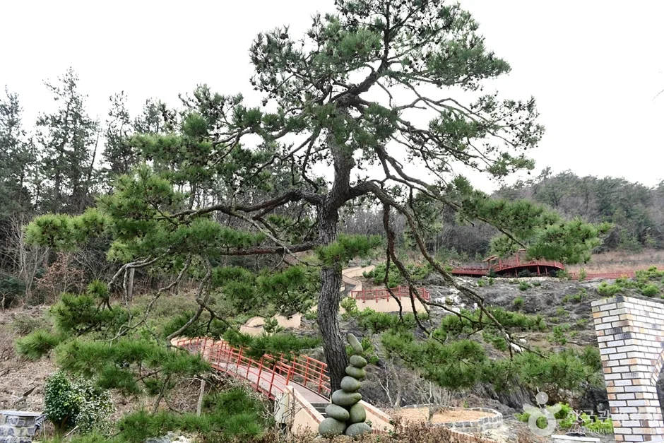 땅끝우림정원 (6)