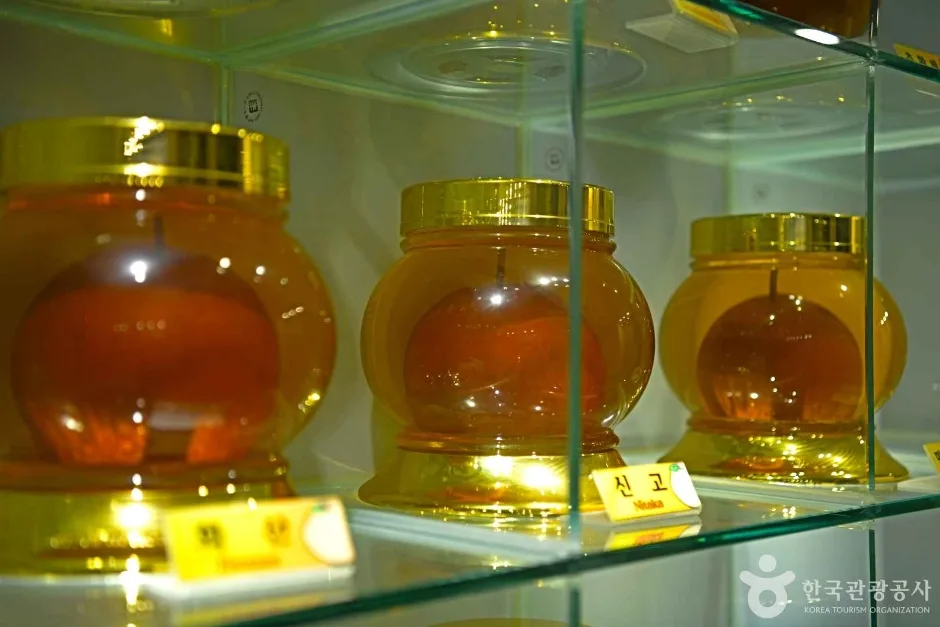 전남광주_나주_나주배박물관_내부_4.jpg