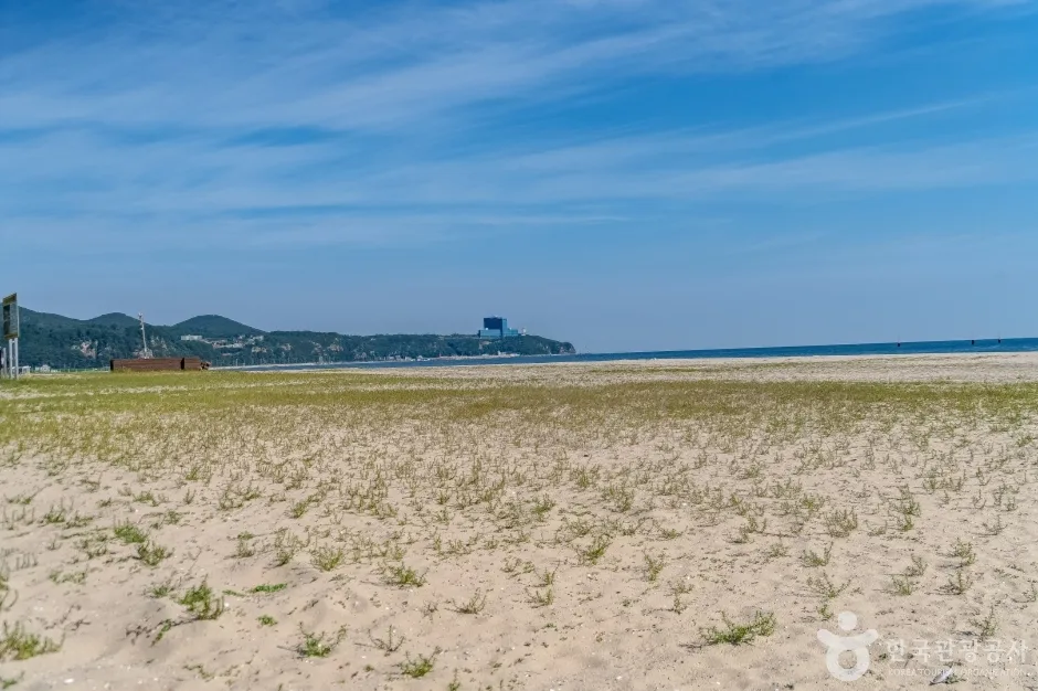 옥계해변 (18)