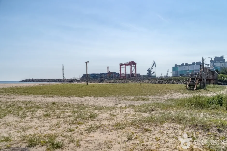 옥계해변 (16)
