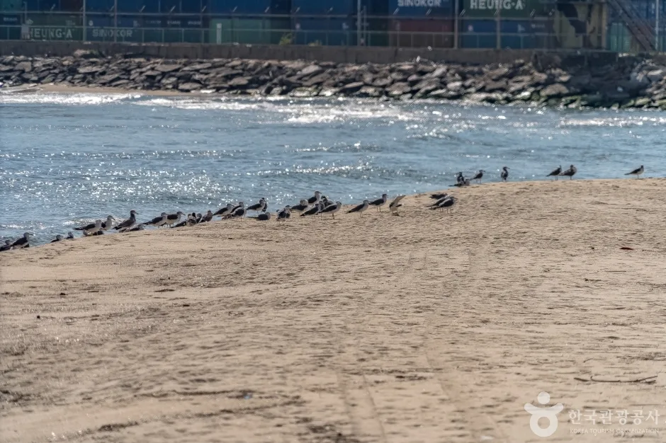 옥계해변 (4)