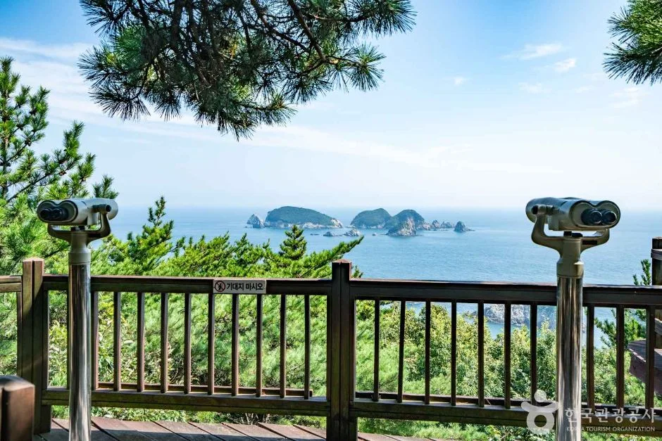 여차 홍포전망대 (6)