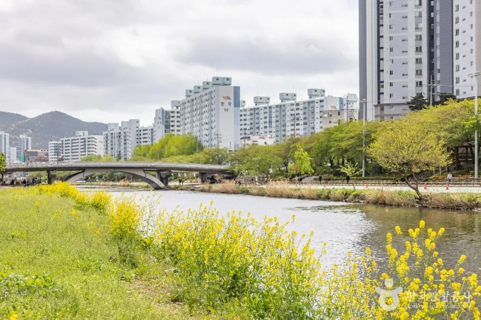 부산__온천천시민공원 (2)