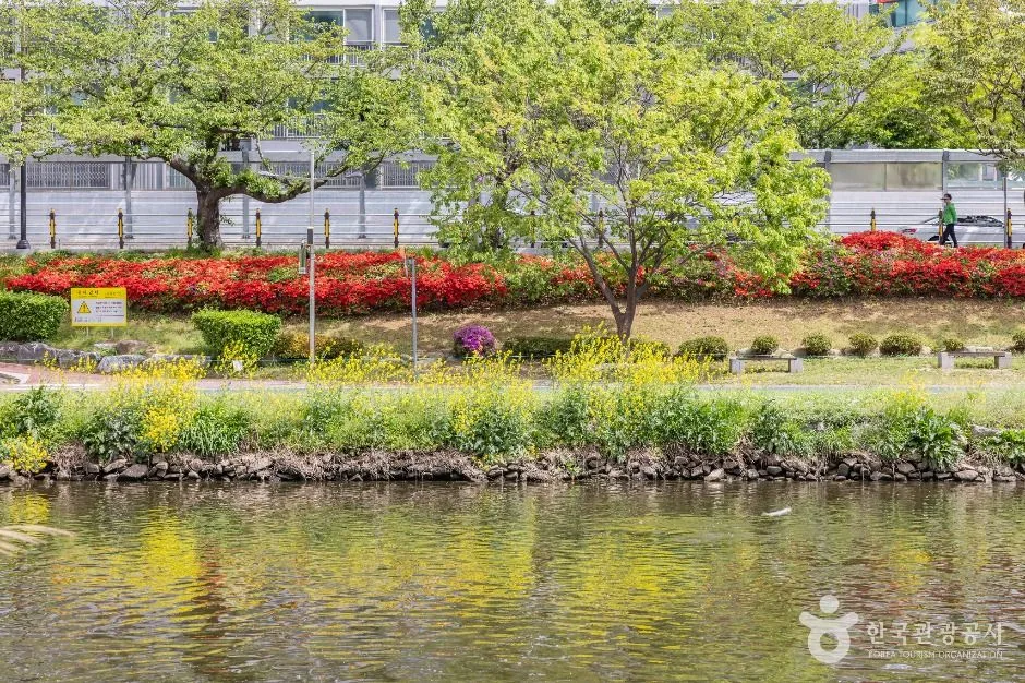 부산__온천천시민공원 (13)