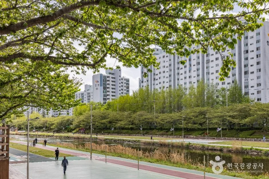 부산__온천천시민공원 (5)