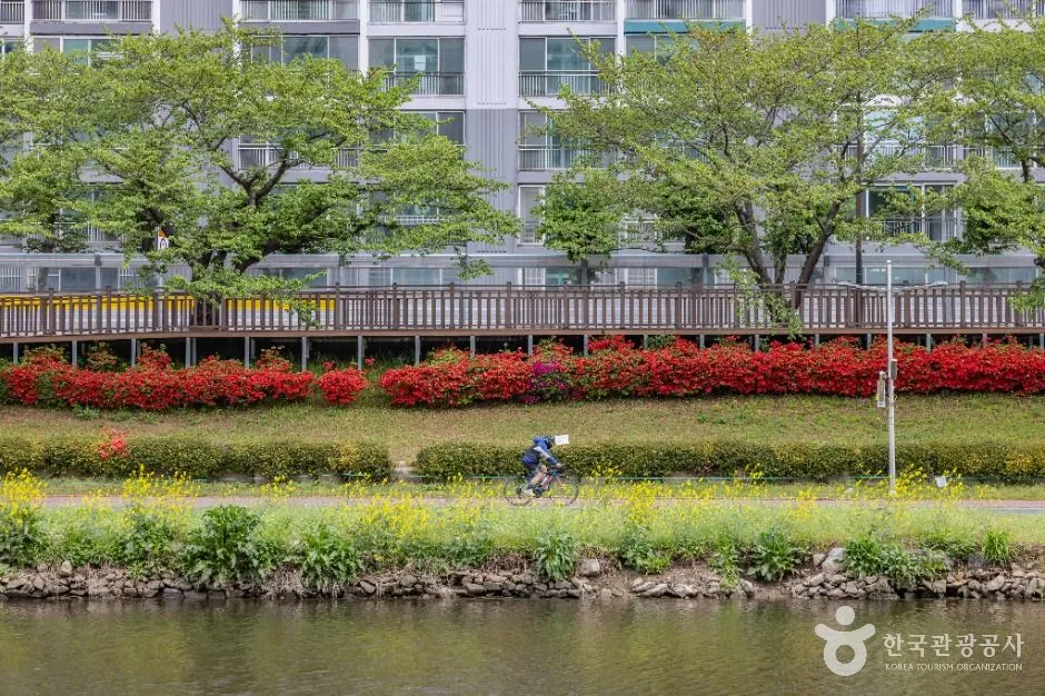 부산__온천천시민공원 (15)