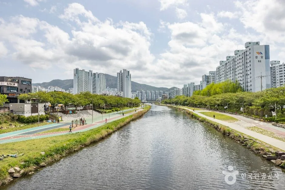 부산__온천천시민공원 (9)