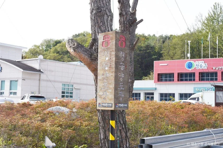 청송_청송양조장 (1).jpg